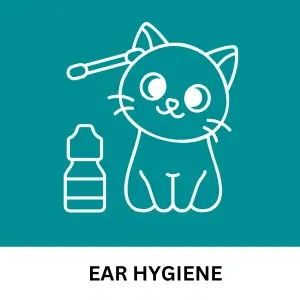 ear-hygiene