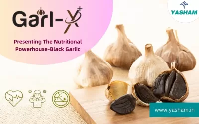 Garlic Extracts