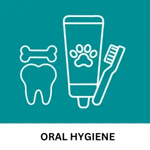 Oral Hygine