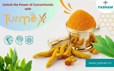 Turmeric Extracts