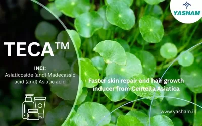 TECA – Centella Asiatica