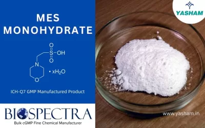 MES Monohydrate